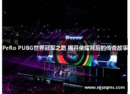 PeRo PUBG世界冠军之路 揭开荣耀背后的传奇故事 PeRo PUBG世界冠军之路 揭开荣耀背后的传奇故事